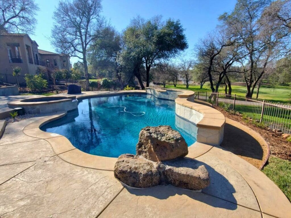 Freeform Pool Pool Gallery 1