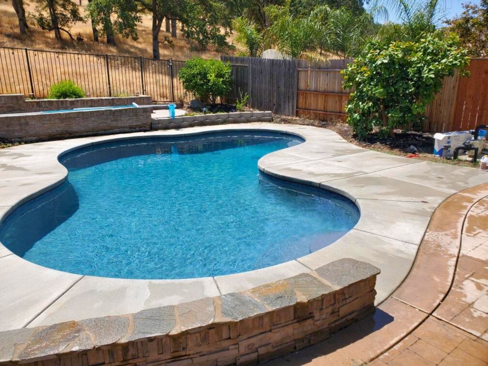 Kidney Pool - Pool Gallery