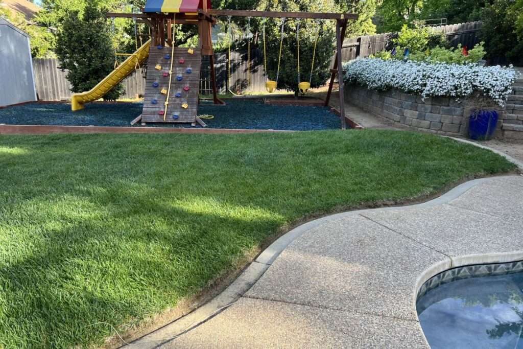 Swimming Pool Remodel - Before